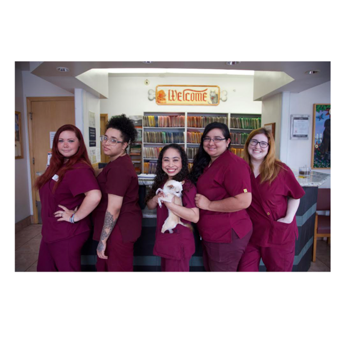 Meet Our Team Laurel Pet Hospital