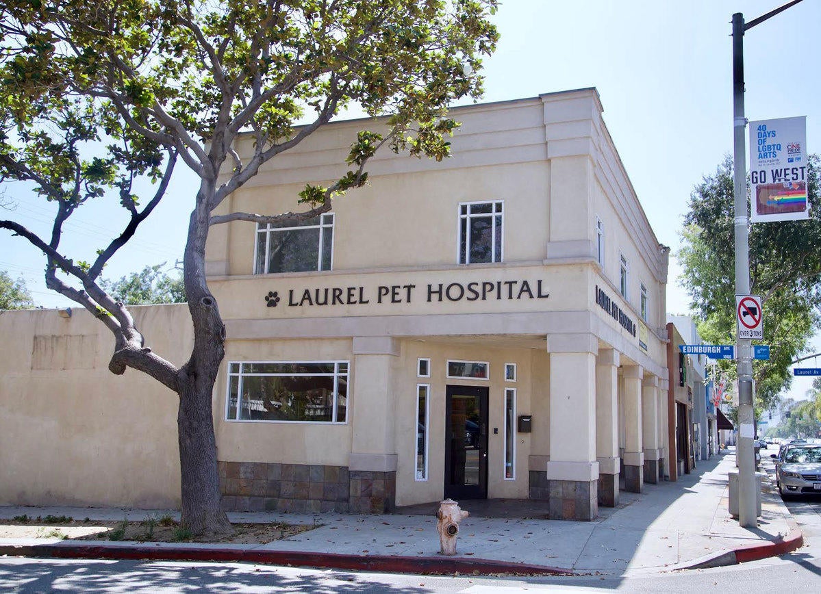 Contact Us West Hollywood's Laurel Pet Hospital Laurel Pet Hospital